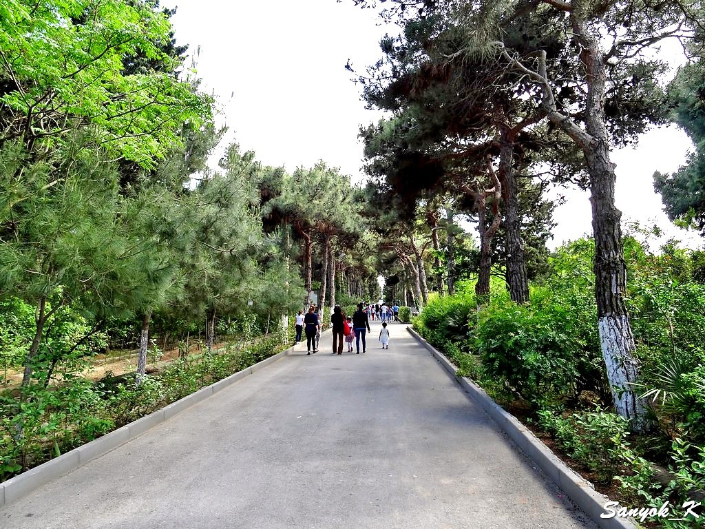 4423 Mardakan Arboretum Мардакян Мардакянский дендрарий