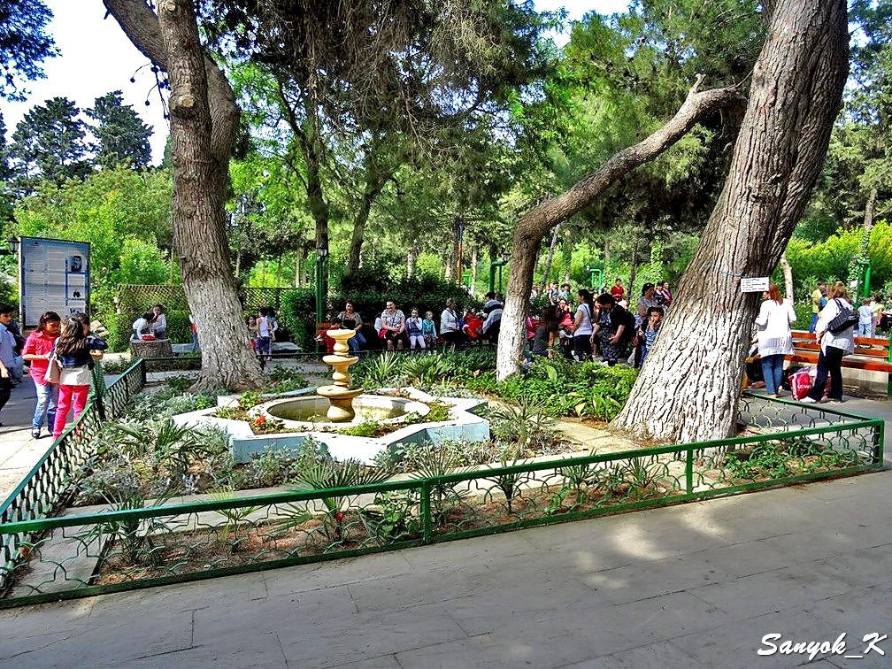 4430 Mardakan Arboretum Мардакян Мардакянский дендрарий
