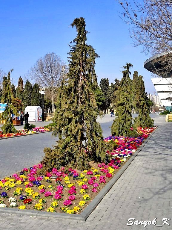 2554 Baku Boulevard National park Баку Приморский бульвар
