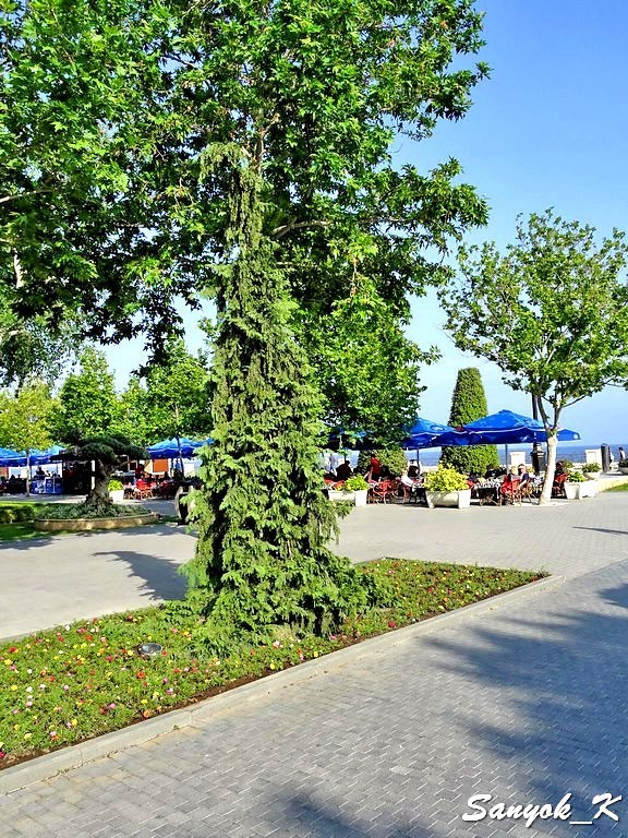 2561 Baku Boulevard National park Баку Приморский бульвар